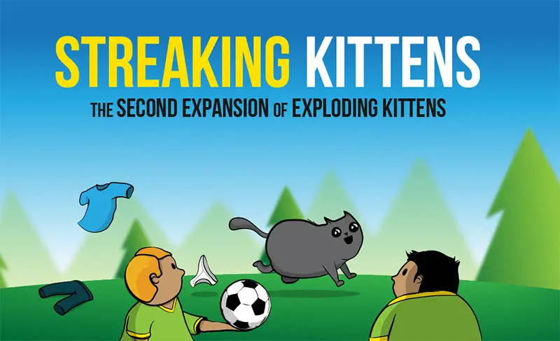 Second Expansion of Exploding Kittens Streaking Kittens Game 15 Card Pack 