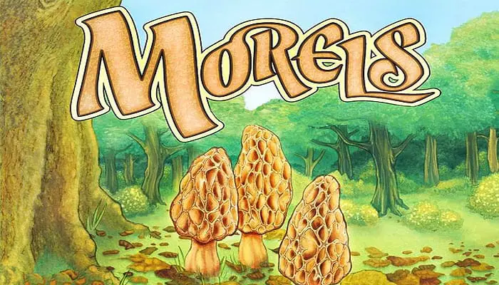 How To Play Morels Official Rules UltraBoardGames